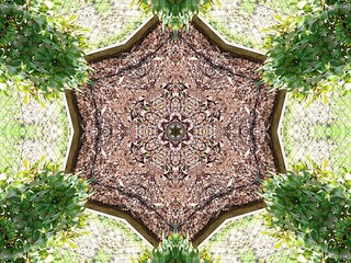 Kaleidoscope in Soft Lime Green and Soft Brown