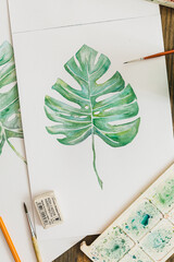 Monstera palm leaf painted in watercolor. Green on white. Simple drawing.