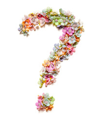 Question mark. Floral alphabet. Set of flower letters isolated on white. Flower font.