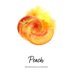 Fototapeta na wymiar Peach watercolor illustration isolated on splash background