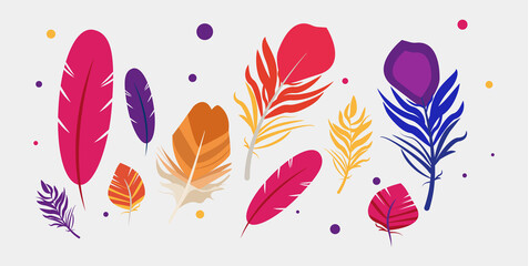 Collection of colorful feathers on light background. Editable vector illustraton for flyer, banner, web site, social media post.