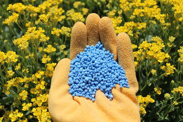 Blumendünger