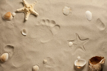 Fototapeta na wymiar The composition of sea shells and starfish on a textured surface of a sandy beach with a human footprint and marine life