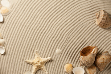 The composition of sea shells and starfish on a wavy textured surface of a sandy beach