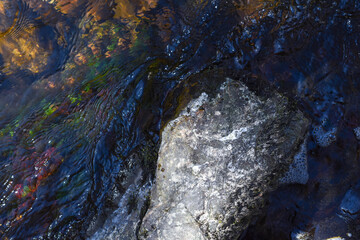 Calm flowing water in a small river is very clean and clear