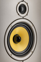Acoustic system, yellow Kevlar coating. Tweeter and mid-range speaker, close-up.