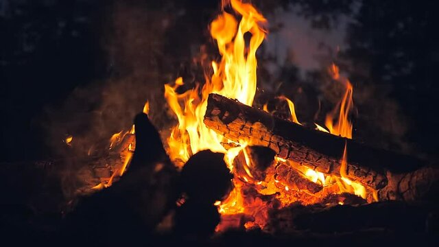 Fire campfire forest nature nigt