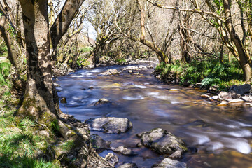 Rushing clear river water splashes over rocks