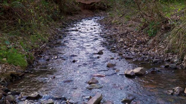4K water flowing down in a small creek in the middle of the great woods in the quantock hills somerset englang.