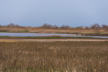 Landscape of wild steppe of Black sea coast