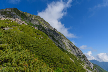 Fototapeta premium 夏の北岳