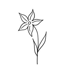 Flower. Abstract field flower. Contour. Isolated element. Doodle.
