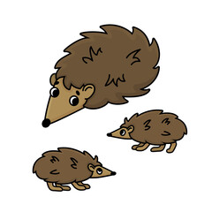 Cute family of three brown doodle cartoon hedgehogs. Vector outline isolated hand drawn female, baby kids animals illustration on white background
