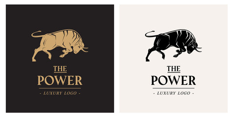 Luxury logo template bull design