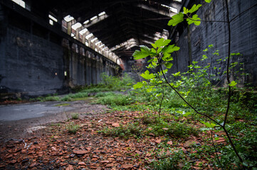 abandoned factory its interior and what remains of it