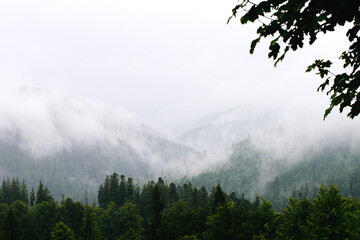 Summer Foggy Mountains Landscape 