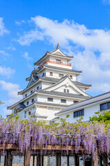 Obraz premium 唐津城と藤の花 佐賀県唐津市 Karatsu Castle and Wisteria flowers Saga-ken Karatsu city