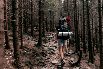 Tourist Group on the Mountain Trail Hike Backpacking through the Pine Forest