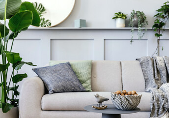  Interior design of scandinavian living room with stylish grey sofa, coffee table, tropical plant, mirror, decoration, pillows, plaid and elegant personal accessories in modern home decor.