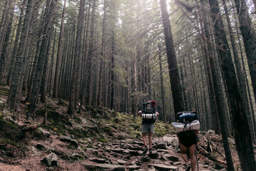 Tourist Group on the Mountain Trail Hike Backpacking through the Pine Forest