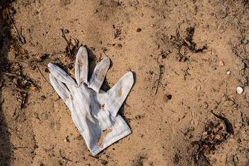 white glove drop to the ground on the yellow sand