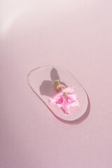 A drop of cosmetic gel with flower on a pink background.
