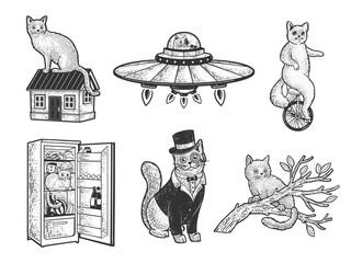 Cat set sketch raster illustration © Oleksandr Pokusai
