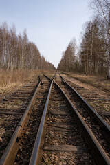 narrow-gauge railway in a swamp where small birches and other trees grow along the edge