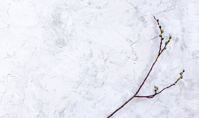 concrete background and texture close up