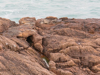 rocky coast of the sea