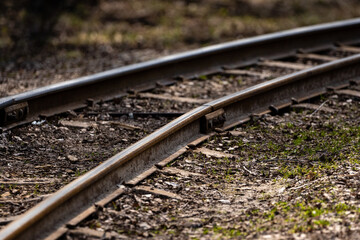 Fototapeta premium narrow gauge railway in a swamp where there are metal rails and concrete supports