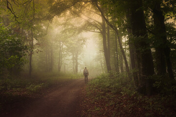 Fototapeta na wymiar man walking on green forest road