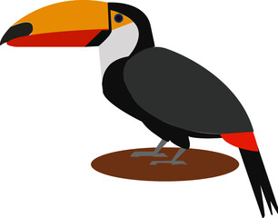 Obraz premium Toucan bird cartoon character. Cute toucan flat vector isolated on white color. South American fauna. Wild animal illustration for zoo advertisement, nature concept, children's book illustration