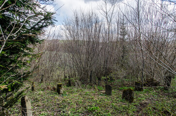 Kirkut - Baligród  © wedrownik52