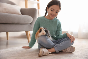 Happy little girl with guinea pig at home. Childhood pet