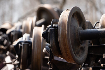 a small pond in the swamp where birches and other trees grow in the spring