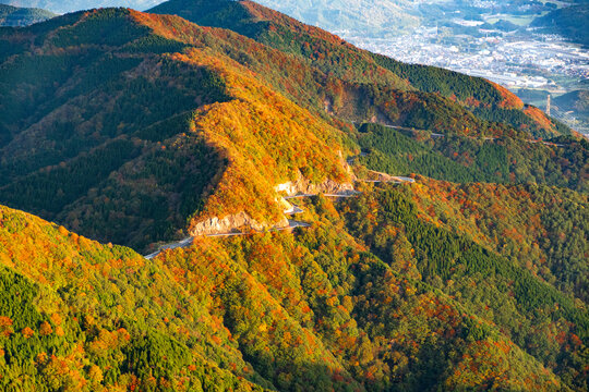 Katudon Photos Images Assets Adobe Stock