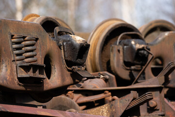 a small pond in the swamp where birches and other trees grow in the spring