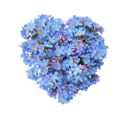Obraz premium Heart made with blue Forget-me-not flowers isolated on white