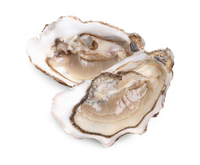 Fresh raw open oysters on white background