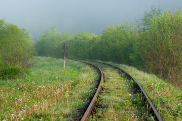 railroad tracks in fog in spring