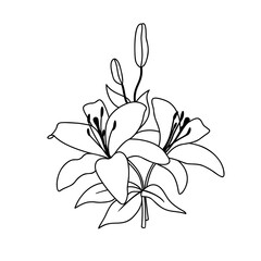 A bouquet with flowers of a blooming lily.