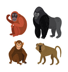 Vector set of monkey rangutan, baboon, gorilla, chimpanzee  - 430779602