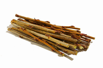 cut currant twigs close-up on a white background