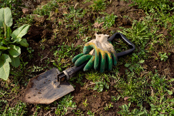 Dig up the soil to remove weeds