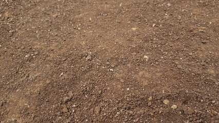 dry soil texture.suitable for background