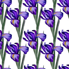 Seamless pattern with watercolor flowers. Iris. Hand drawn.