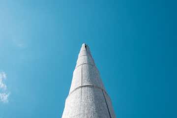 A dry bamboo trunk against a blue sky. The destruction of a natural forest. An ecological problem....