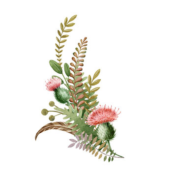 Floral autumn natural arrangement. Watercolor illustration. Woodland element. Hand drawn rustic forest decor from fern, thistle flowers, green leaves. Seasonal decoration on white background