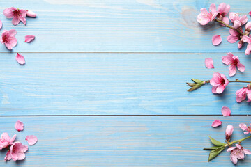 Beautiful sakura tree blossoms on light blue wooden background, flat lay. Space for text © New Africa